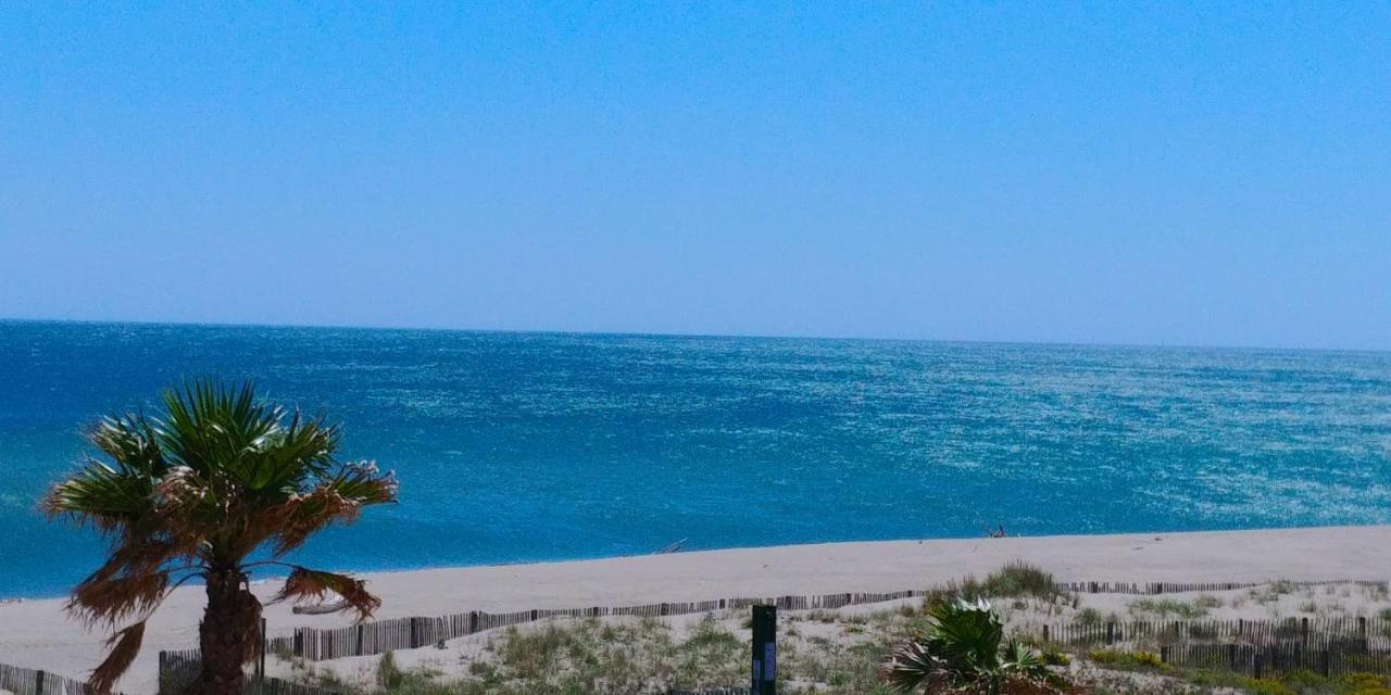 Vue Mer Panoramique Wifi Gratuit Le Barcarès Zewnętrze zdjęcie