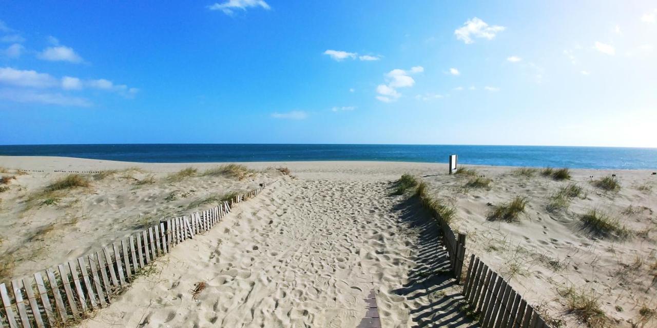Vue Mer Panoramique Wifi Gratuit Le Barcarès Zewnętrze zdjęcie