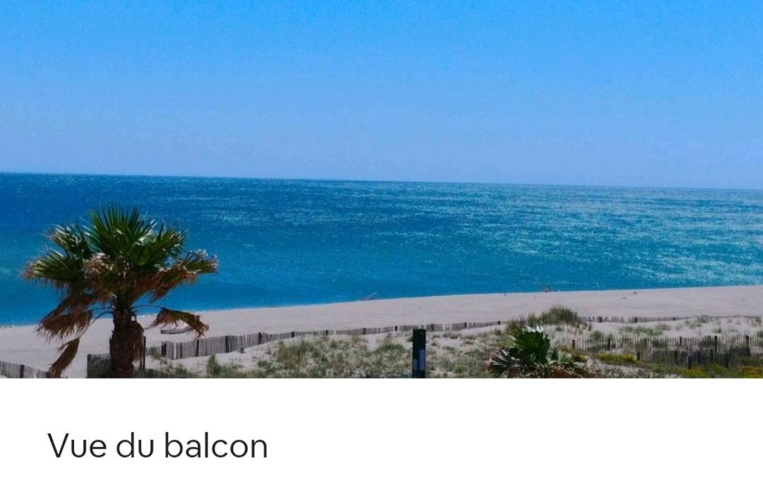 Vue Mer Panoramique Wifi Gratuit Le Barcarès Zewnętrze zdjęcie